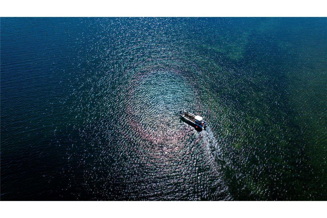 Vor der Sommerfrische auf der Insel Walfisch steht für die Ziegen die Überfahrt vom Festland per Boot.