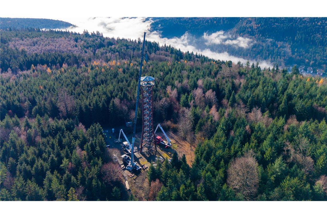 Vor genau einer Woche startete der Teilrückbau des Pforzheimer Aussichtsturms „Hohe Warte“. Hier ist er noch rund 40 Meter hoch, jetzt nur noch 15 Meter.