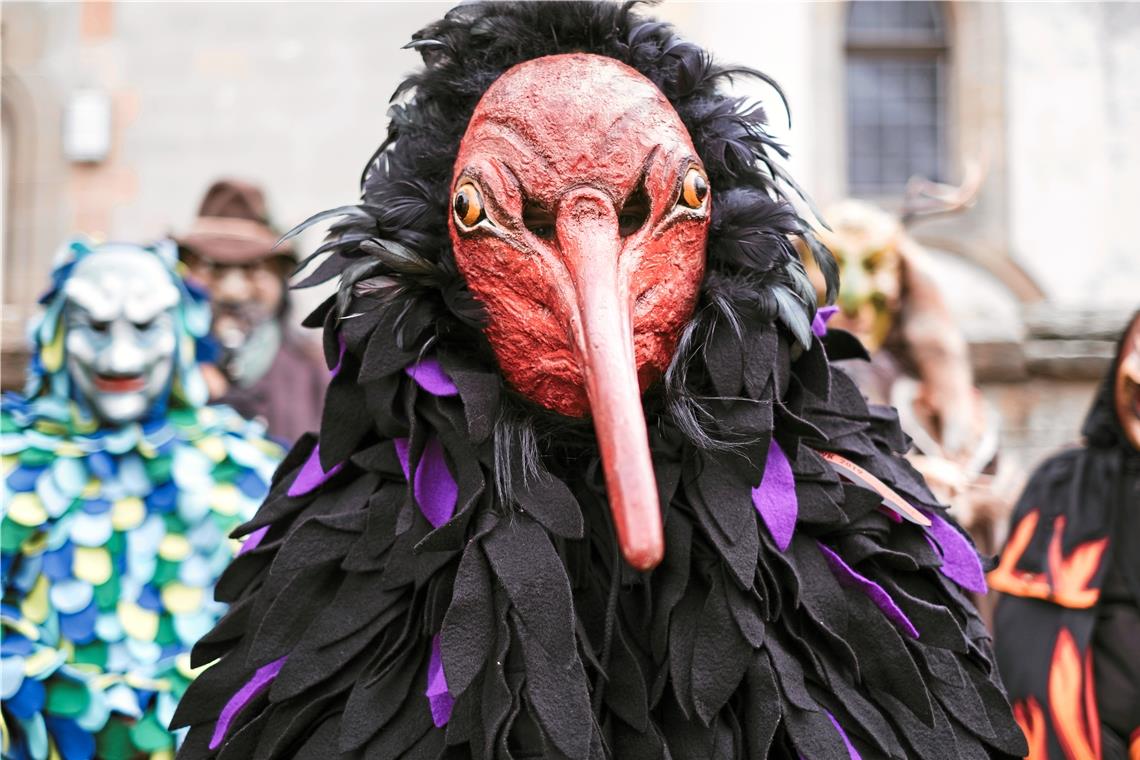 Vorbild für den Nachtkrabb ist ein realer Vogel, der Waldrapp. Die Kennzeichen: Hochroter Kopf, langer Schnabel und dunkles Federkleid.