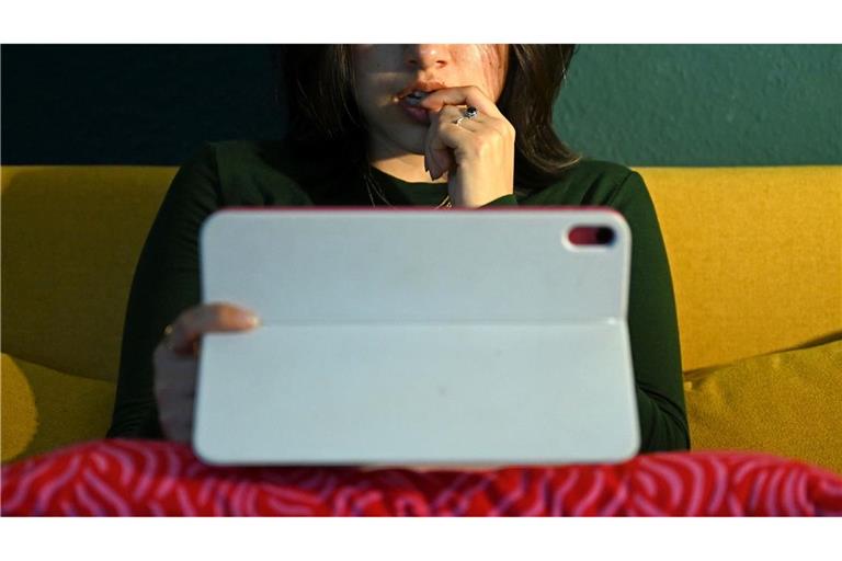 Vorgaben oder Freiwilligkeit? Streamingdienste sollen in Deutschland nicht nur kassieren.