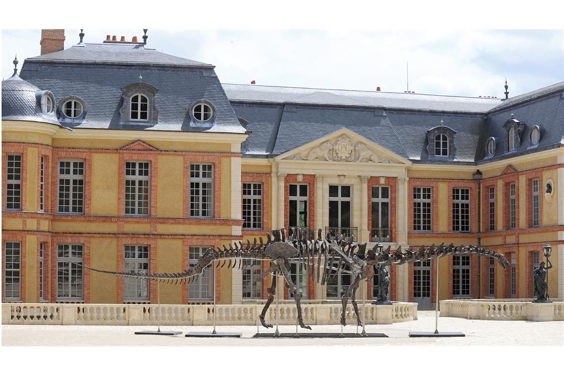 Dinosaurier-Skelett für 4,7 Millionen Euro in Paris versteigert „Vulcain“ ist 20,50 Meter lang, rund 150 Millionen Jahre alt und gehört zur Gattung der Apatosaurier. Das Urzeit-Skelett war vom 13. Juli bis 3. November 2024 auf dem Gelände des Schlosses von Dampierre bei Paris ausgestellt.