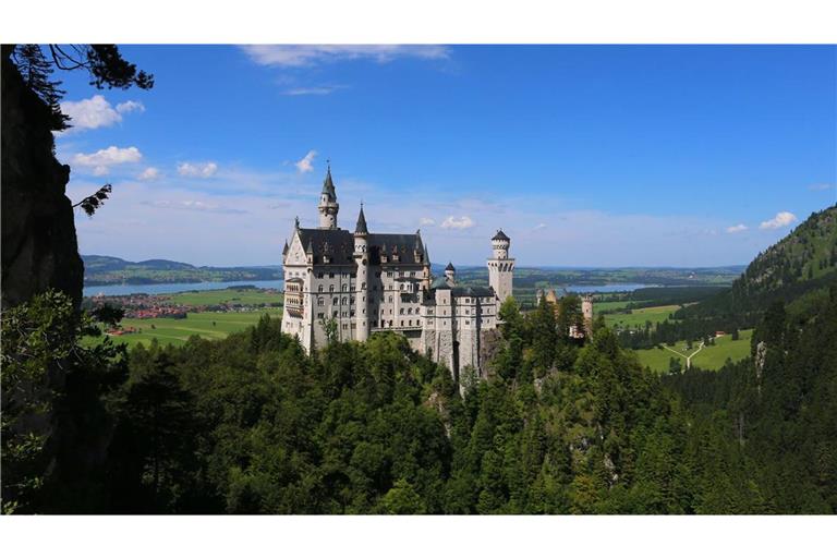 Während die Frau das Schloss Neuschwanstein besichtigte, musste ihr Hund in einem Schließfach verharren. (Archivfoto)