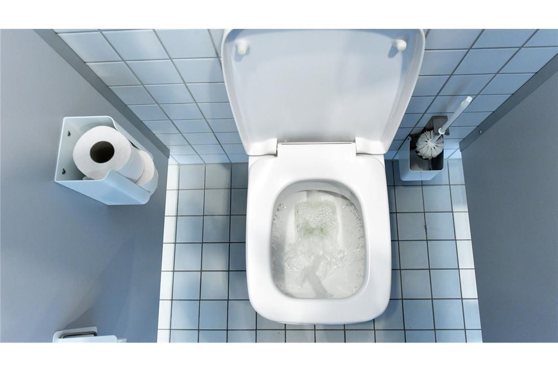 Wasser oder Wischen: Was der Po wirklich braucht Während in Deutschland die Nutzung von Klopapier die Norm ist, wird in vielen anderen Ländern auf Dusch-WCs, Bidethandbrausen oder ein zusätzliches Bidet neben dem Klo gesetzt. (Archivbild)