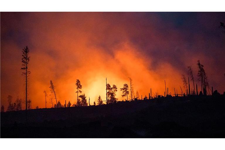 Waldbrände fachen mit ihren Emissionen die Erderwärmung zusätzlich an. (Illustraiton)