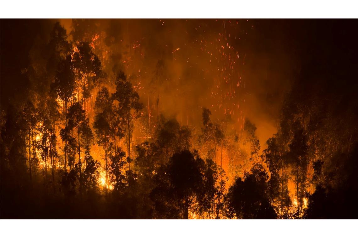 Waldbrände lodern in der Nähe von Concepcion in Chile.