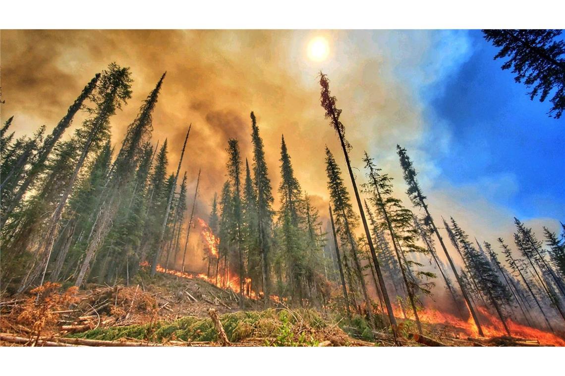 Waldbrände wie hier im US-Bundesstaat Washington im Jahr 2022 sind nur eine von vielen Ursachen, die zu Rekord-Emissionen an Treibhausgasen in die Atmosphäre beitragen.