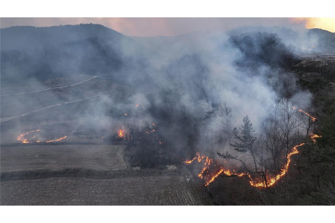 Zahl der Todesopfer steigt weiter an Waldbrände wüten derzeit in Südkorea.