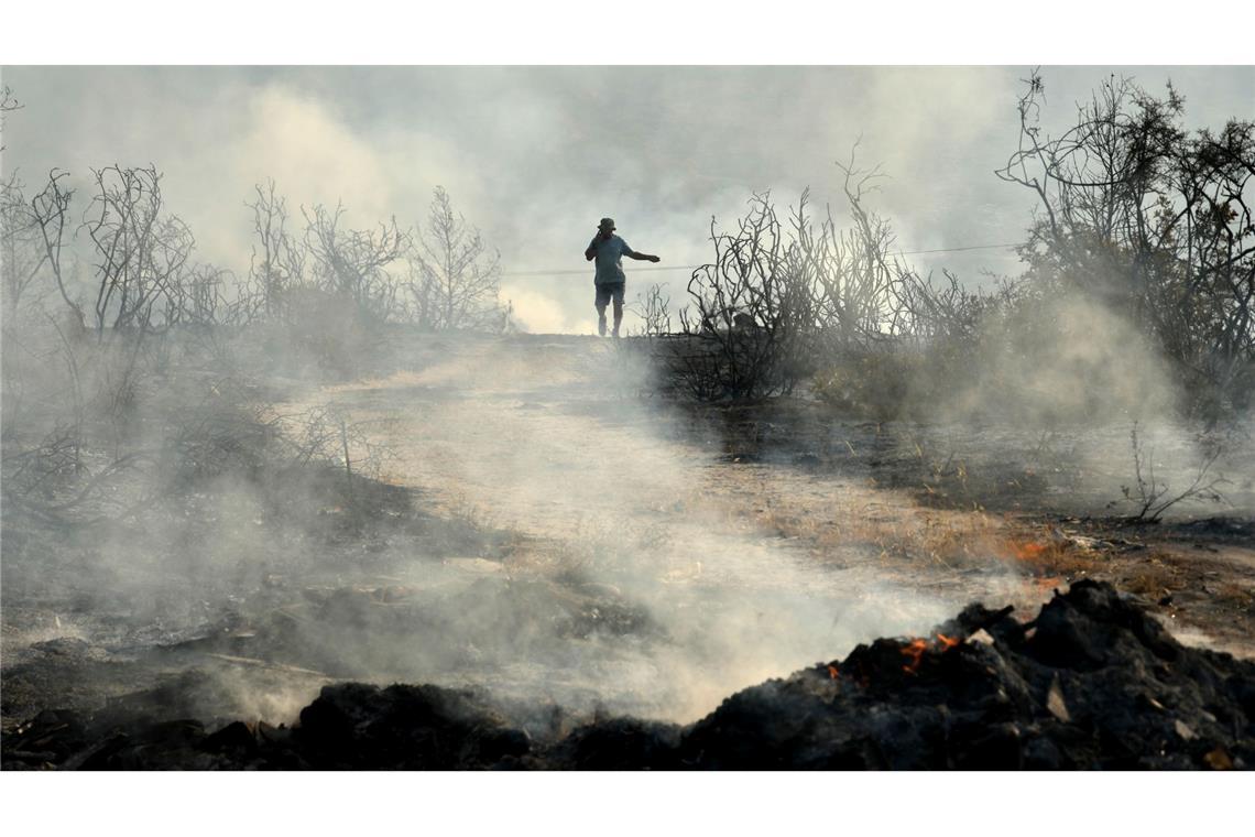 Bilder des Tages Waldbrand auf Zypern: Ein Mann geht durch ein verbranntes Gebiet im Dorf Souni.