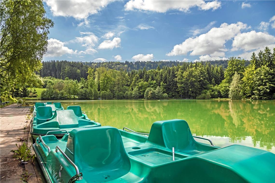 Waldsee in schillernden Grüntönen.