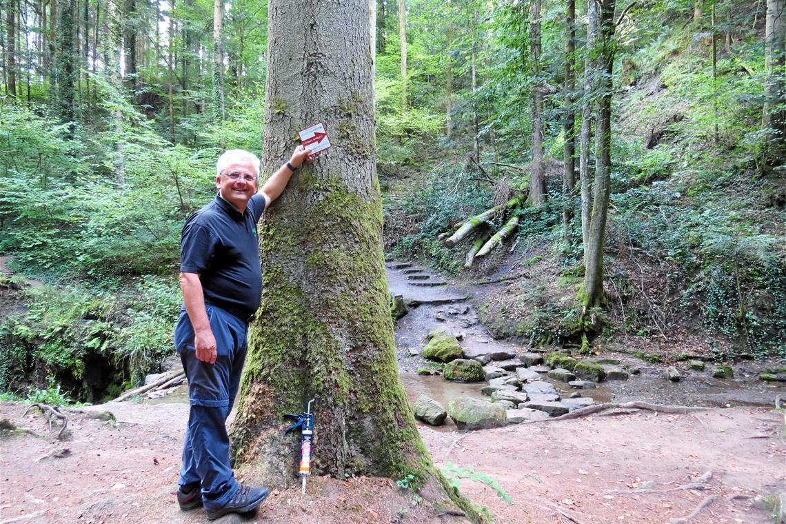 Walter Hieber schaut, wo noch Hinweisschilder an den Wegstrecken angebracht werden sollten. Die Teilnehmer sollen entspannt los- und weiterwandern können. Foto: Christine Schick