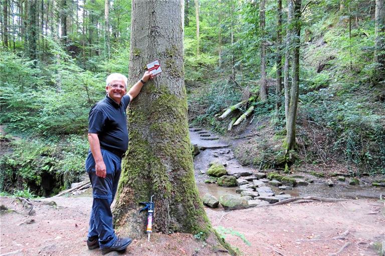 Walter Hieber schaut, wo noch Hinweisschilder an den Wegstrecken angebracht werden sollten. Die Teilnehmer sollen entspannt los- und weiterwandern können. Foto: Christine Schick