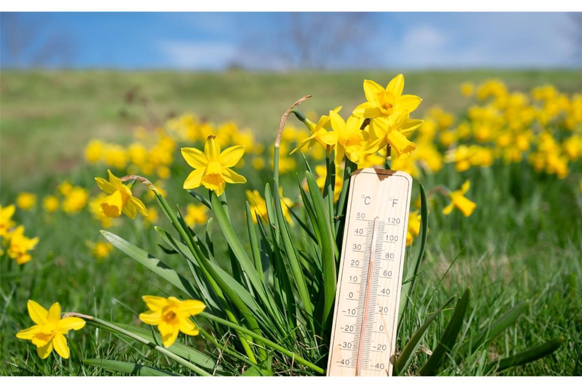 Wann wird es wieder wärmer? Wann kommt der Frühling zurück?