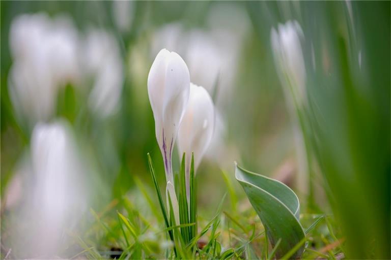 Wann wird es endlich wieder wärmer?