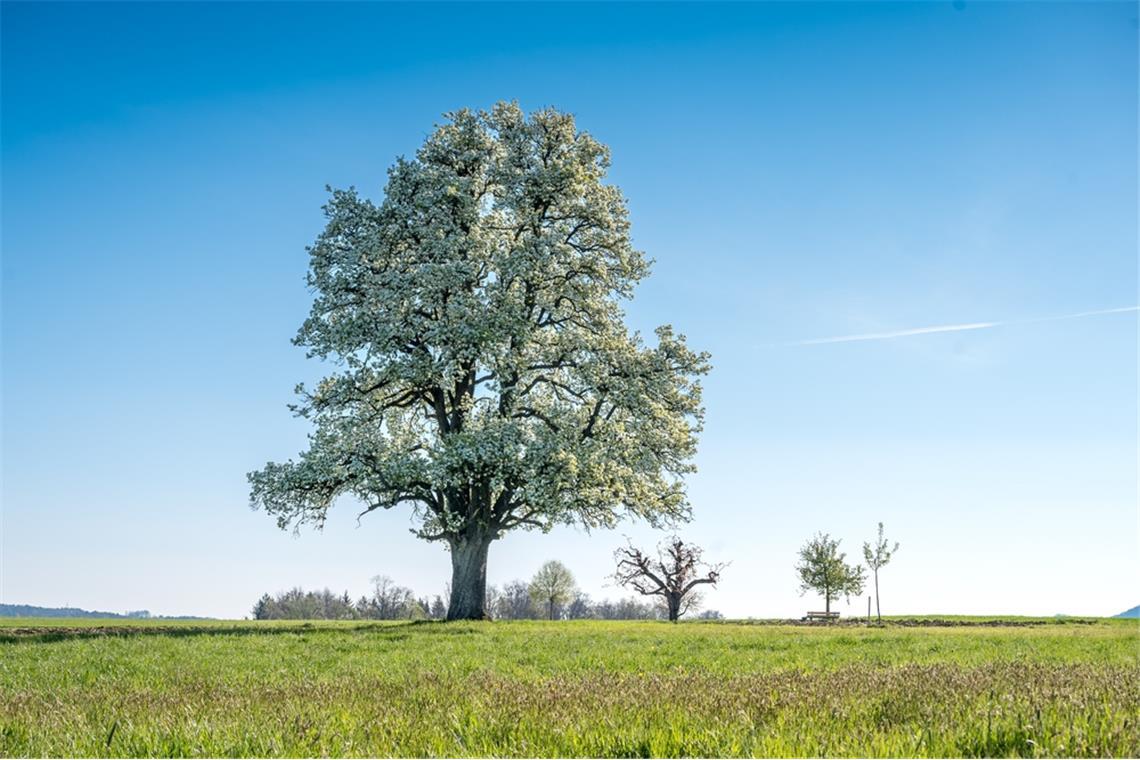 Wann wird es wieder wärmer? Ein Überblick über die Wetterentwicklung in Deutschland mit Prognosen für die kommenden Wochen.