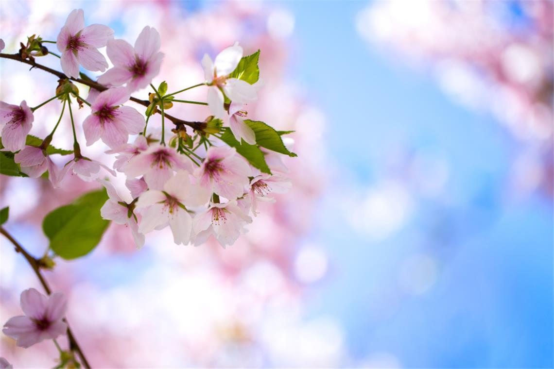 Wann wird es wieder wärmer? Ein Überblick über die aktuelle Wetterlage in Deutschland und die Aussichten für die kommenden Tage.
