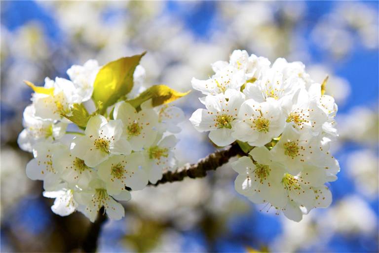 Wann wird es wieder wärmer? Ein Überblick über die aktuelle Wetterlage in Deutschland und die Aussichten für die kommenden Tage.