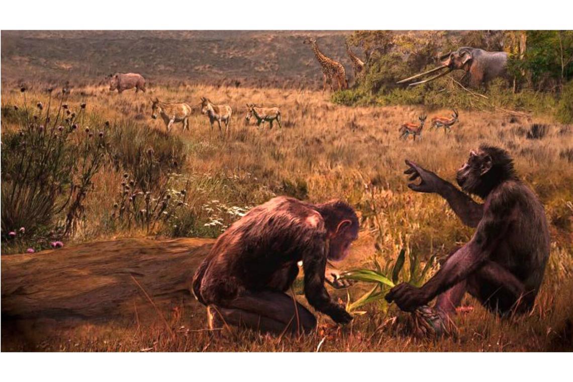 War er der letzte gemeinsame Vorfahre? Graecopithecus freybergi – Spitzname El Graeco – hat vor 7,2 Millionen Jahren in einer staubbelasteten Savannen-Landschaft rund um das heutige Athen gelebt. Der Künstler Velizar Simeonovski hat dieses Gemälde nach wissenschaftlichen Vorgaben von Madelaine Böhme und Nikolai Spassov erstellt.