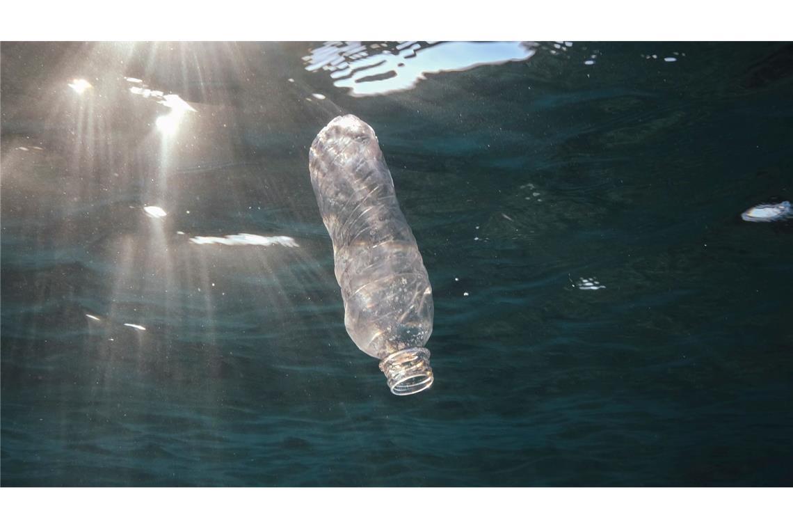 Wie sich die Aufnahme von Mikroplastik vermindern lässt Wasser aus Plastikflaschen kann winzige Plastikteilchen enthalten. (Symbolbild)