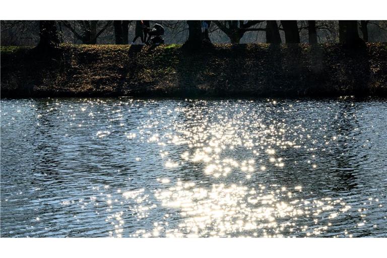 Wasser ist lebenswichtig für Menschen, Tiere und Kleinstorganismen. (Archivbild)