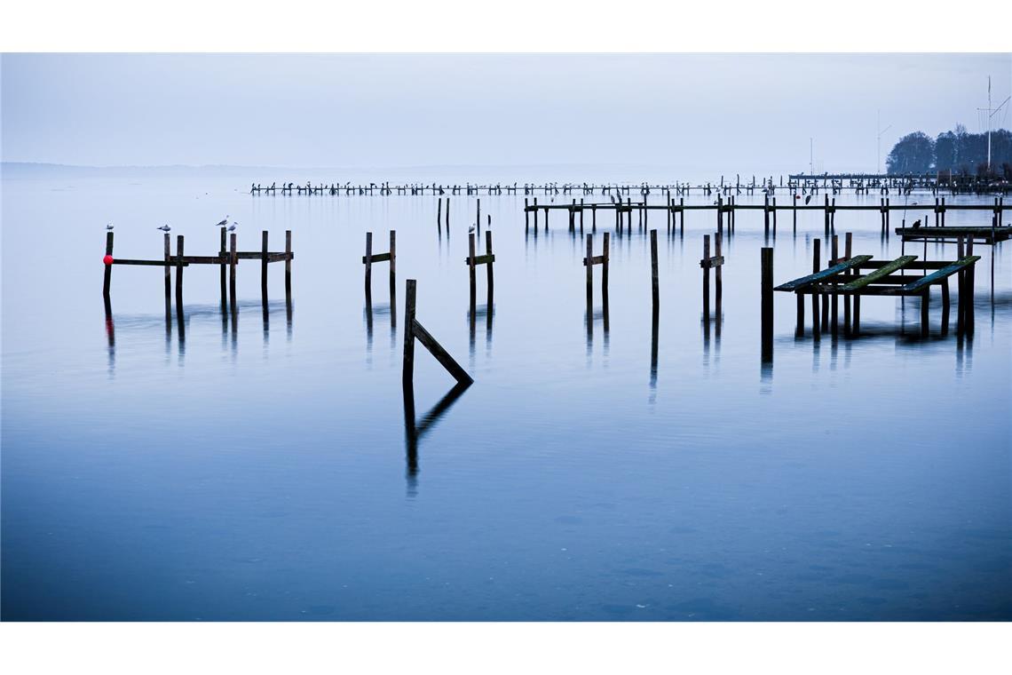Wasserlandschaft: Pfähle einer abgebauten Steganlage ragen aus dem Steinhuder Meer.