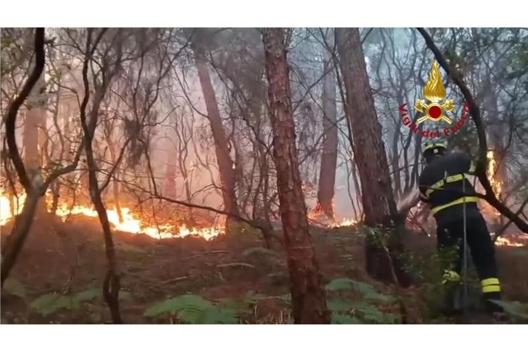 Wegen des Waldbrands haben mehr als 3.500 Menschen ihre Häuser verlassen müssen.