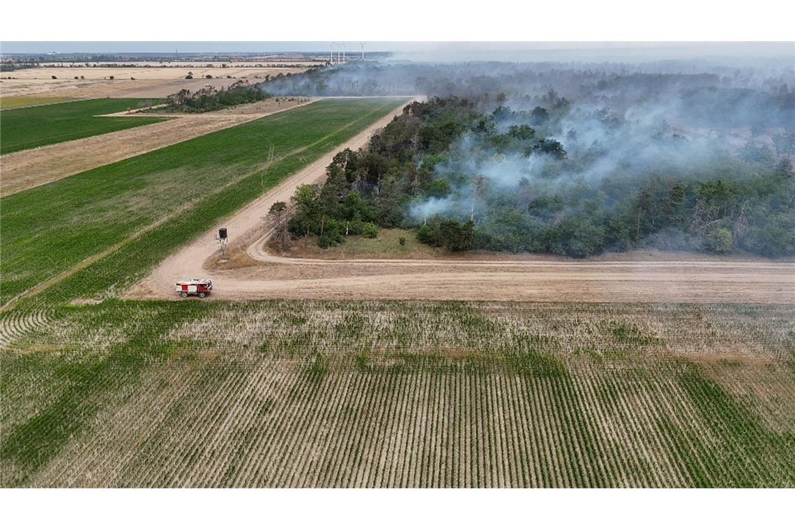 Wegen des Waldbrands in der Gohrischheide wurde Katastrophenalarm ausgelöst.