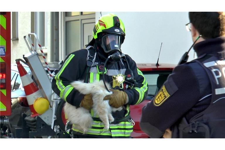 Wegen eines laut piepsenden Rauchmelders und Rauch, der aus einem Fenster kam, hatten Anwohner die Feuerwehr gerufen.
