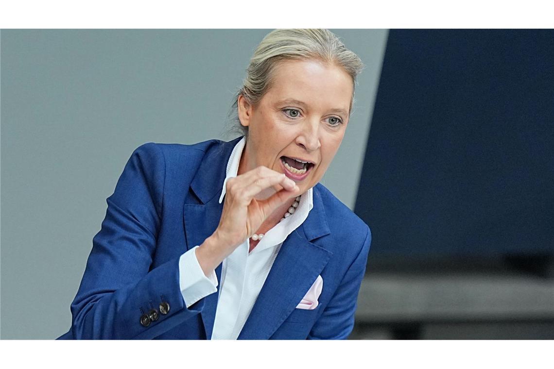 Weidel rechnet mit der Regierung generell ab.