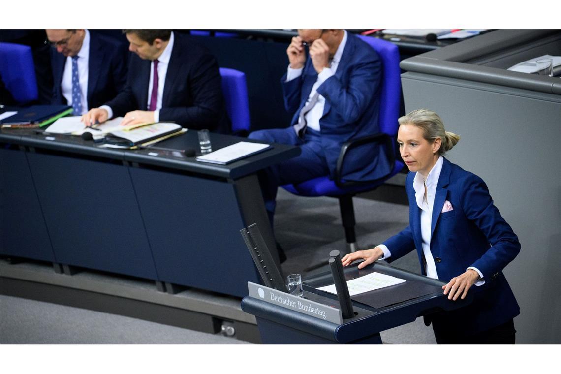 Weidel will Außenpolitik an nationalen Interessen ausrichten.