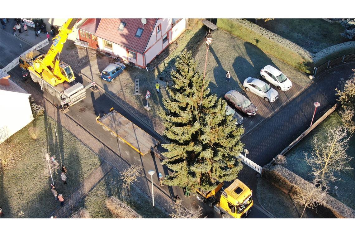 Weihnachtsbaum fürs Brandenburger Tor: Fichte per Kran auf LKW verladen in Sömmerda