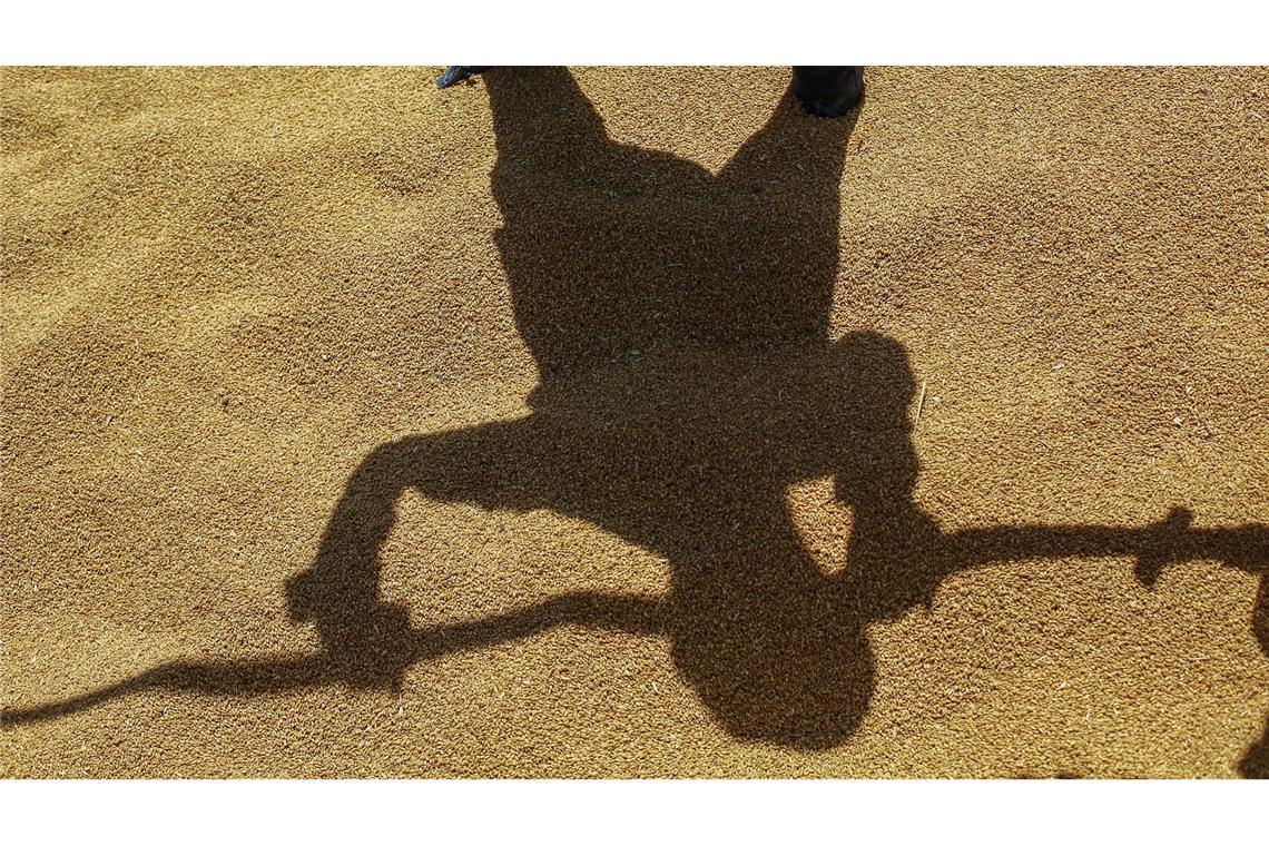 Bilder des Tages Weizenernte im Irak: Arbeiter entladen Getreide, das im Silo der dem irakischen Handelsministerium unterstellten General Company for Grain Trading in Bagdad, gelagert werden soll.