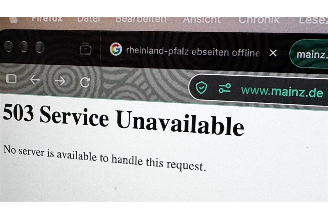 Weltweit kam es zur Abschaltung von Webseiten, hier bei der Stadt Mainz.
