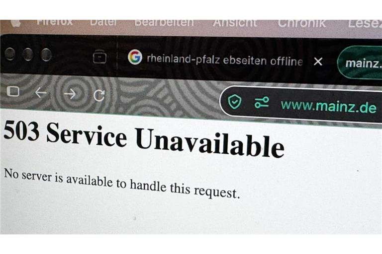 Weltweit kam es zur Abschaltung von Webseiten, hier bei der Stadt Mainz.