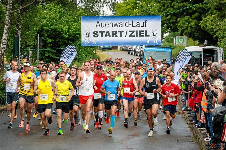 Wenn sich das Feld beim nächsten Auenwaldlauf auf den Weg macht, wird der Start- und Zielort ein anderer sein. Archivfoto: Alexander Becher