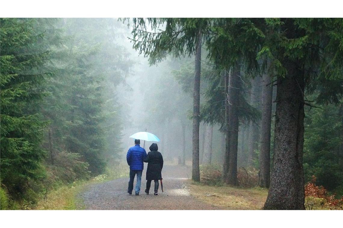 Sprühregen in Stuttgart – ein Nebelgruß vom Himmel Wenn sich die Luft wenig bewegt, entstehen besonders feine Regentropfen.