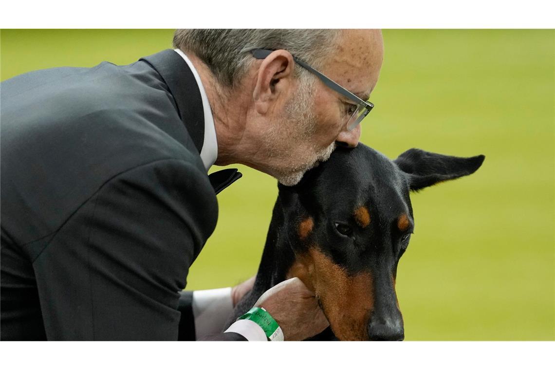 Wer bei der weltberühmten Westminster-Hundeshow den wichtigsten Preis gewinnt, wird oft zu einem Star.