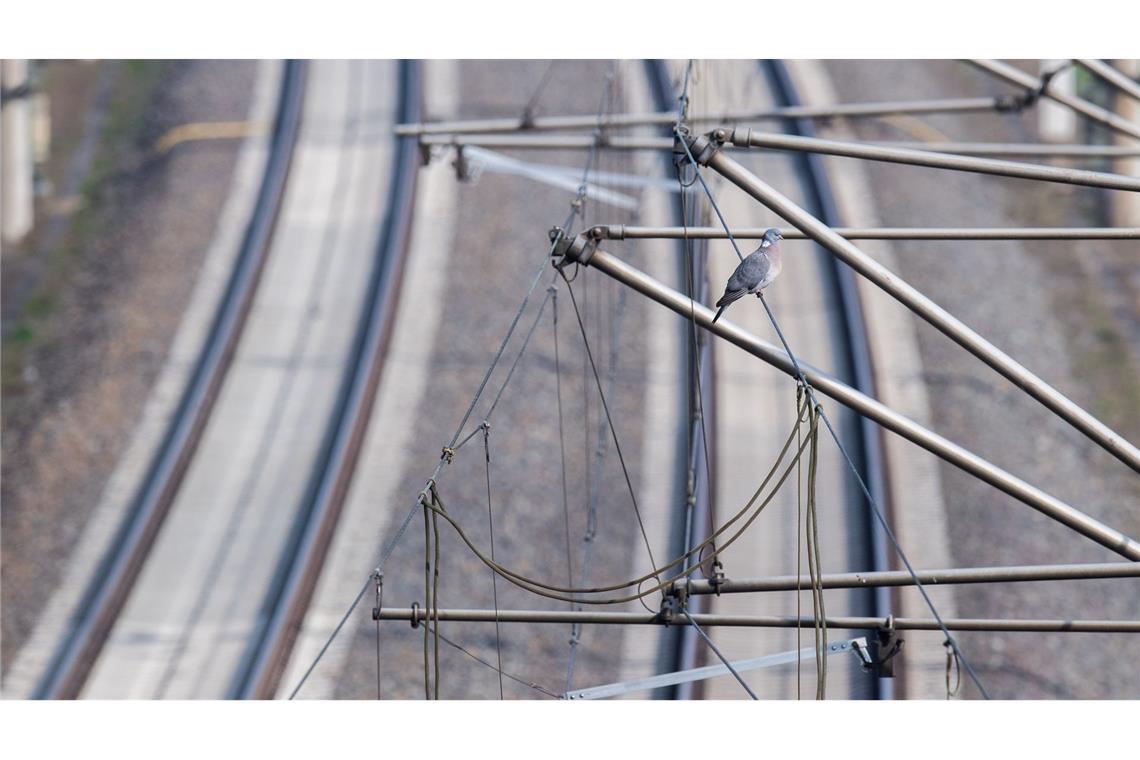 Tote und Verletzte durch Stromschläge an Bahn-Oberleitungen Wer eine Bahn-Oberleitung berührt oder ihr zu nahe kommt, begibt sich in Lebensgefahr. (Archivbild)