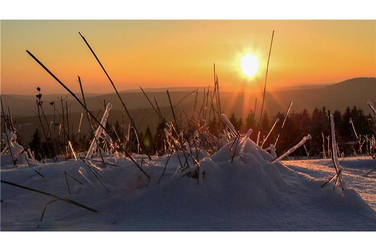 Wer nicht genug von der Sonne bekommen kann, wird laut DWD den Dienstag und Mittwoch draußen richtig genießen können (Symbolbild).