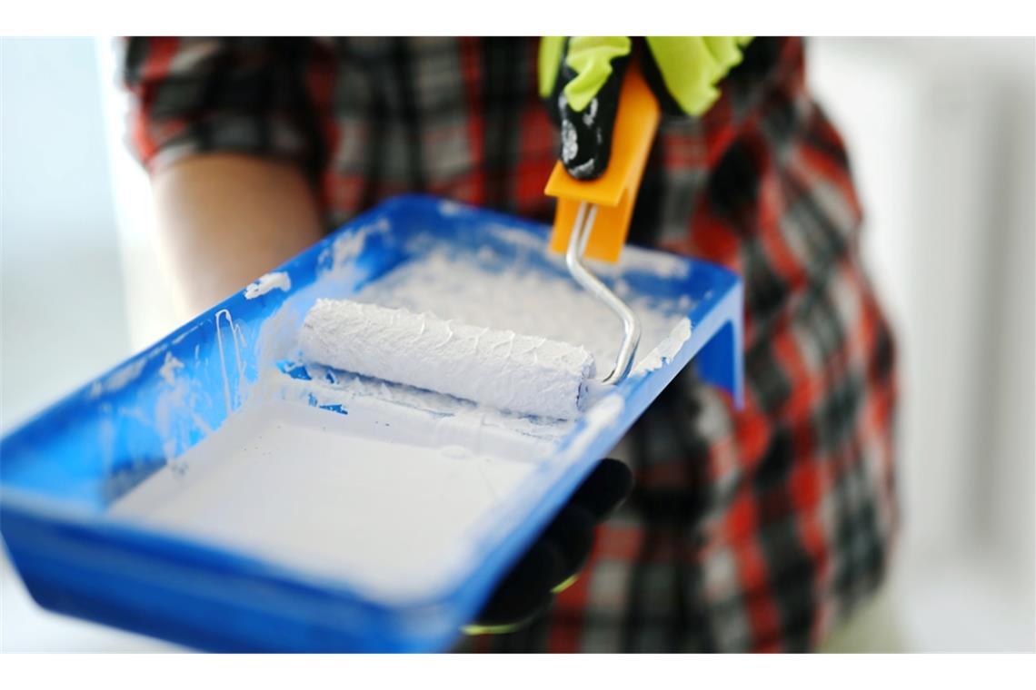 Wer Schimmel entdeckt, denkt schnell daran, diesen zu überstreichen. Wann das Überstreichen von Schimmel strafbar ist, erfahren Sie hier.