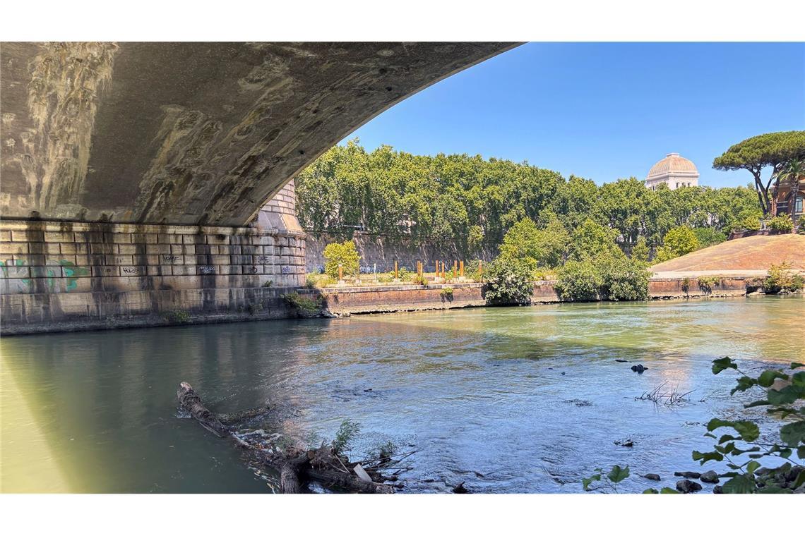 Rom will Fluss Tiber wieder badetauglich machen Wer will hier ins Wasser? Das Schwimmen im Tiber soll künftig wieder möglich sein.