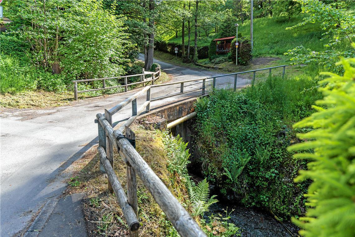 Brückensanierung: Mehrkosten befürchtet Wer zum Pflegeheim Eulenhöfle (Weg führt links den Berg hoch) will, muss die Brücke über den Großkeebach überqueren. Um im Notfall mit Feuerwehrdrehleiter zur Einrichtung zu kommen, muss während der Sanierung eine Ersatzbrücke eingerichtet werden.
