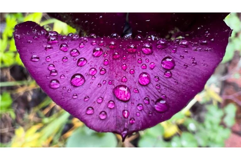 Wetterumschwung: Es wird regnerisch