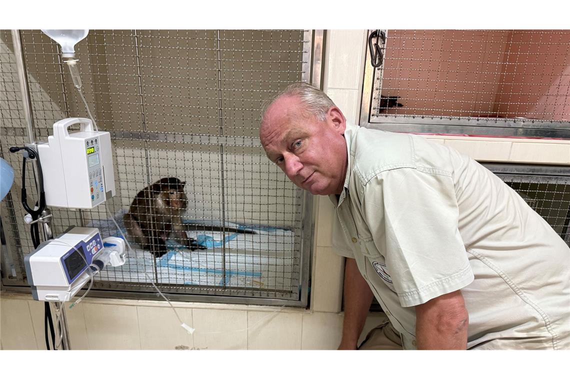 Tiger im OP: Besuch in Thailands erstem Wildtier-Krankenhaus WFFT-Gründer Edwin Wiek besucht einen der Patienten im Wildlife Hospital. Der Affe hatte einen Stromschlag erlitten.