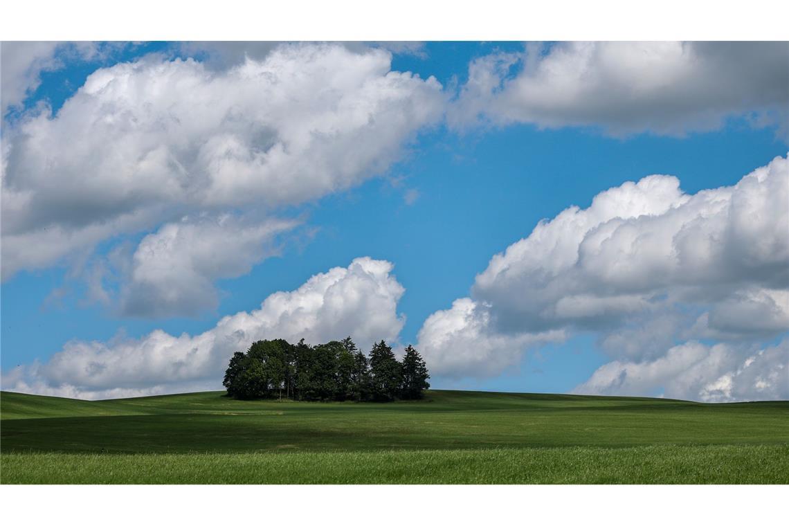 Bilder des Tages