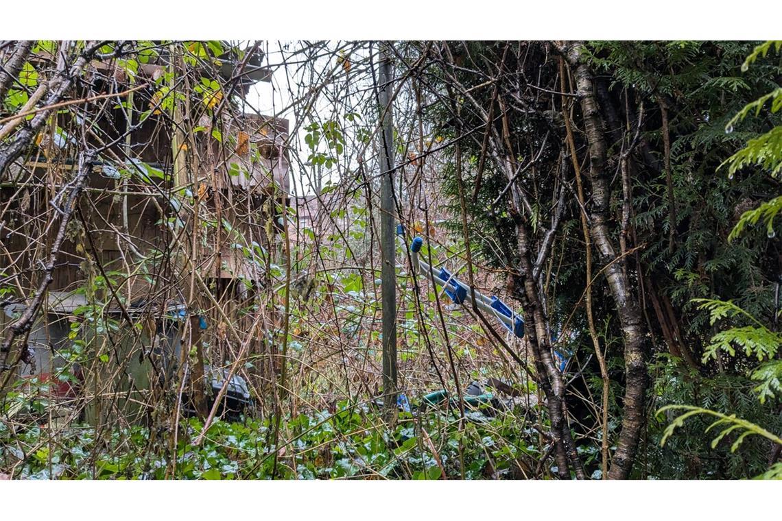 Nach der Folter im Garten nun hinter Gitter Wie im Dornröschengarten: In der verwilderten Hütte links wurde das Opfer nachts gefesselt festgehalten.