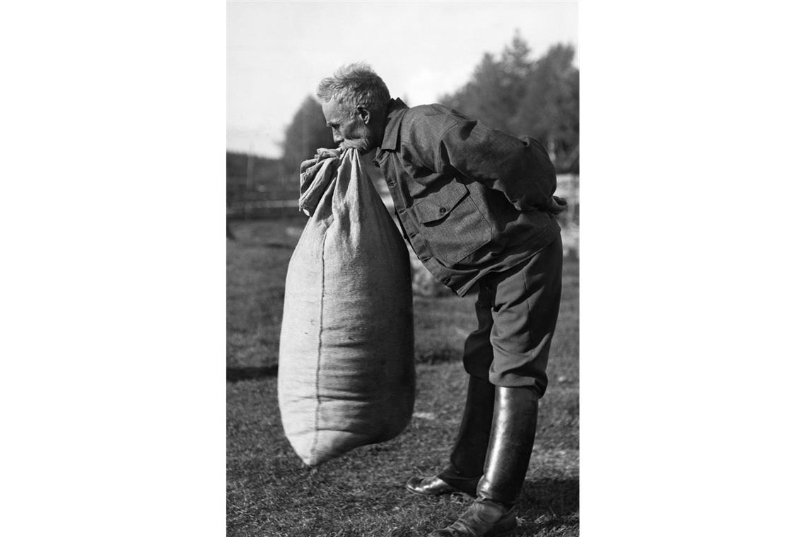 Wie lange kann eine Finne einen Sack mit den Zähnen festhalten?