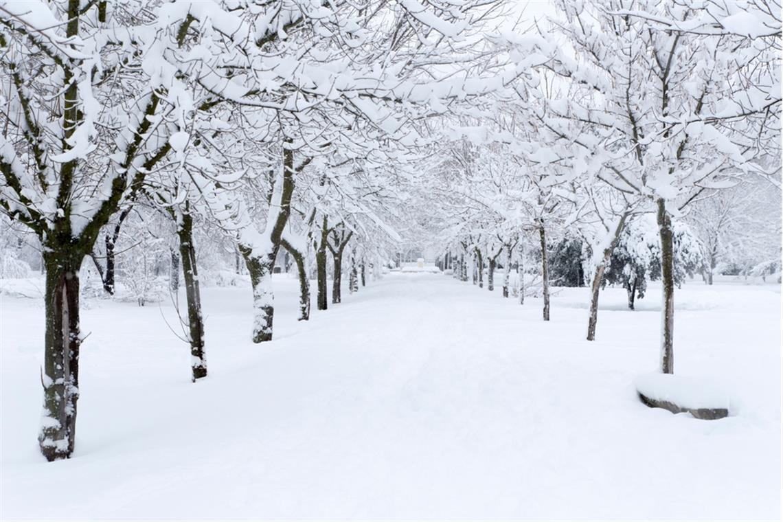 Wie stehen die Chancen auf weiße Weihnachten?
