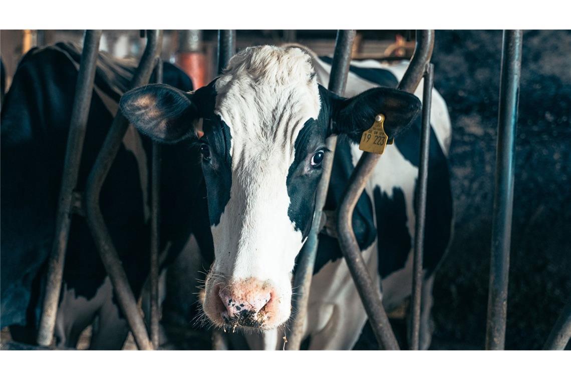 Länder bitten um Aufschub Wie steht es um die Nachhaltigkeit bei der Tierhaltung?