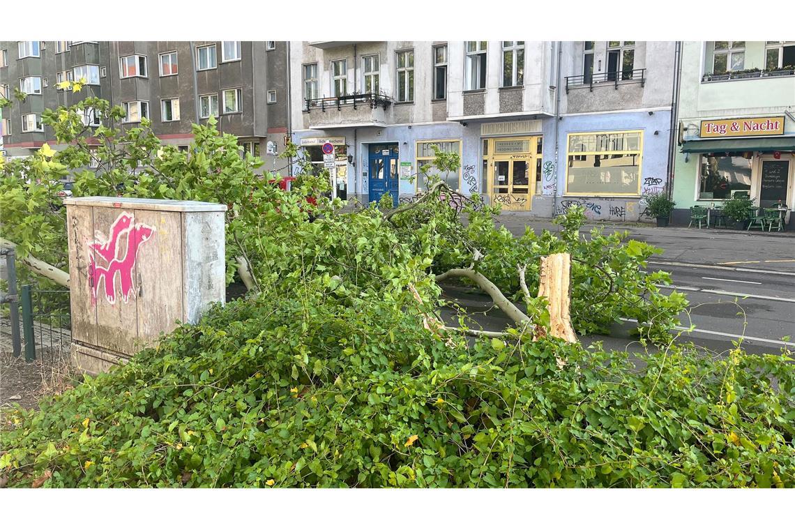Tote und Verletzte bei Sturm in Berlin - Chaos bei S-Bahn Windstärke 11 - so ein heftiger Wind ist in Berlin ungewöhnlich.