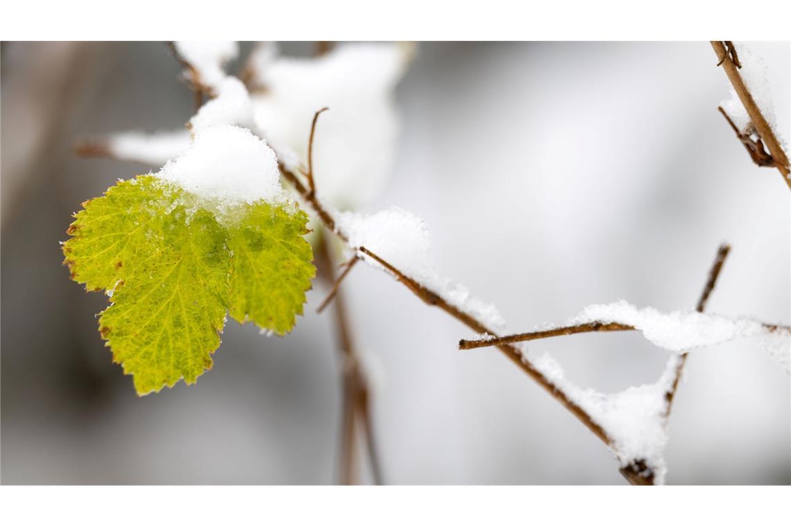 Bilder des Tages Wintereinbruch in Thüringen